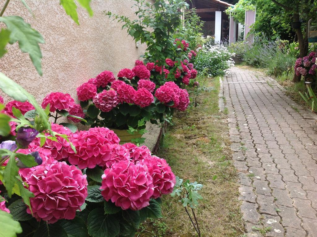 Bed & Breakfast Le Beausejour Каркассонн Екстер'єр фото